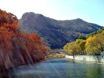 正版澳门天天开彩大全，都市神尊